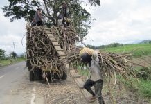 51,653 sugar workers in Iloilo, Capiz receive cash bonus