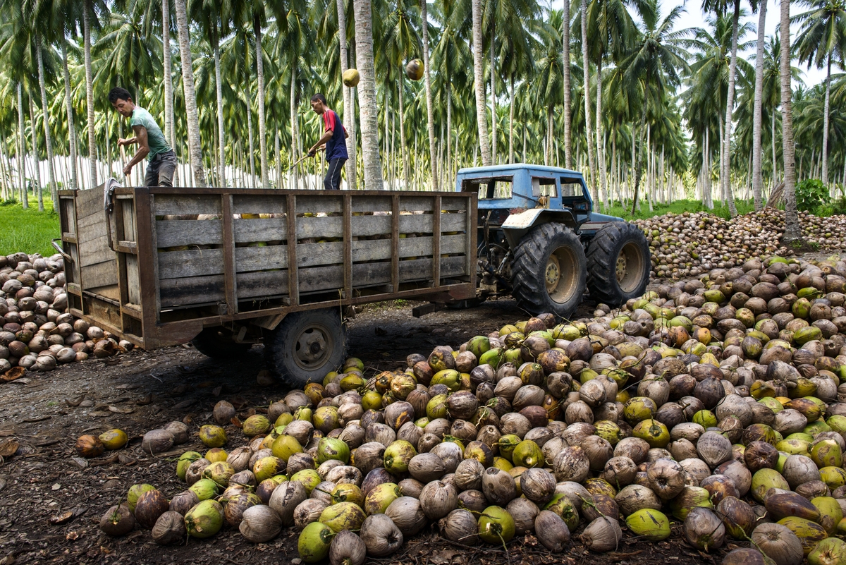 Monacobased firm eyes import of coconut oil, local products