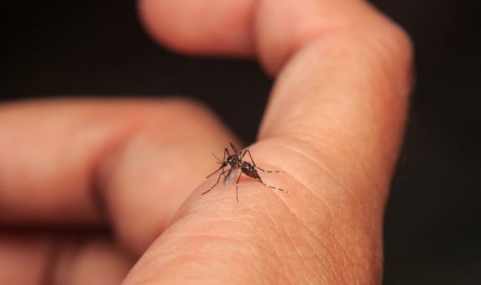 Dengue