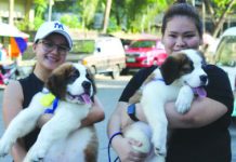 NegOcc LGUs urged to allocate funds for anti-rabies vaccine