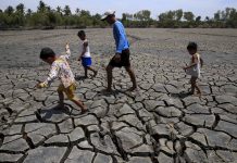 CHO: El Niño may trigger rise in dengue mosquitoes’ population