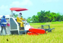 NegOcc to spend more P40-M for farm mech