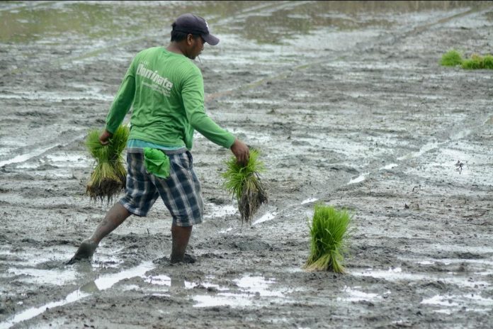 Farmers