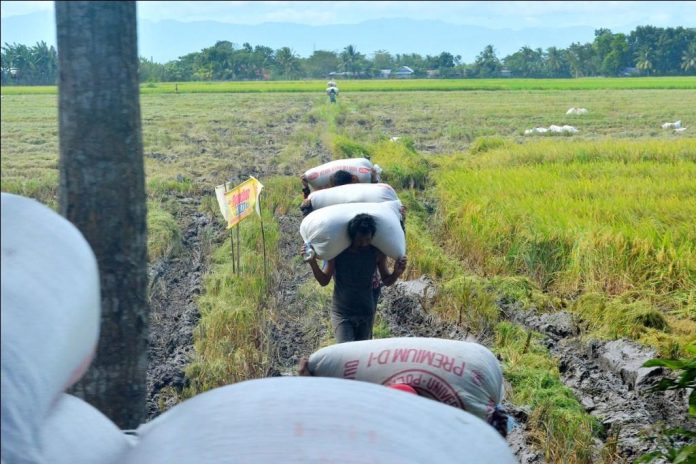 Farmers