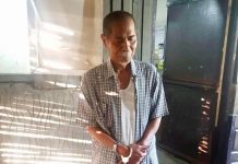 Top Negros Occ. rebel arrested in Laguna