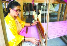Harvest fair to showcase Antique’s local products