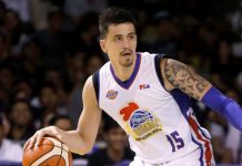 Magnolia’s Pingris close to recovery from ACL injury
