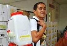 CHO warns of rise in No. of dengue cases this summer