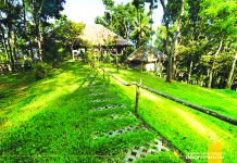 More DOT accredited agri- tourism sites in NegOcc