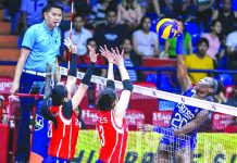 Petron sweeps Foton, stays unbeaten in PH Superliga