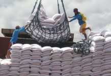 ‘No Duterte order to halt rice importation’