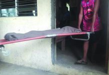 Pa kills 3-year-old son, hangs self