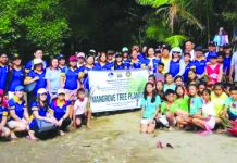 2-T mangroves planted in NegOcc’s coastal village