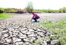 Antique activates ‘Task Force El Niño’