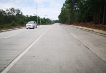 New Panay road seen to boost agri-ecotourism