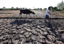 3 more Iloilo towns reel from El Niño damage
