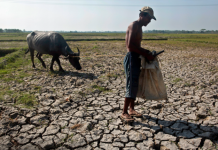 NegOcc gets P2.5-M cloud seeding fund
