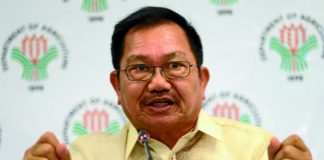 “With the best interest of the Department of Agriculture and its stakeholders in mind, may I request that I be relieved from my present position as secretary of Agriculture and reassigned to whoever agency you believe I would be effective,” says Agriculture secretary Emmanuel Piñol said.