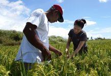 State college develops app to detect plant pests, diseases