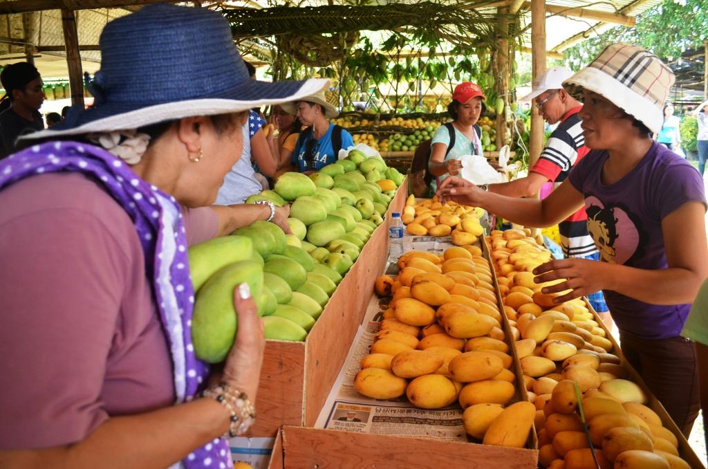Famous Guimaras sweet mangoes invade Russia