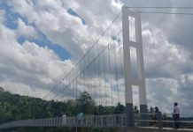 ‘Leon footbridge a dream come true’