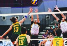 UST Tigresses turn back Lady Tams in UAAP volley