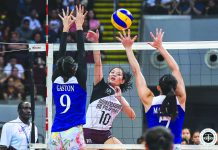 Ateneo sweeps UP in UAAP women’s volleyball
