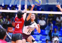 Lady Maroons pound Lady Warriors in UAAP volley