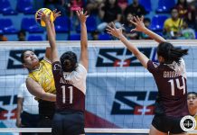 UST Tigresses pounds on UP Lady Maroons in UAAP volleyball
