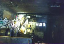 South Korean arsonist kills neighbors fleeing fire