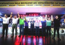 ‘Ilonggos do not cheat in polls’