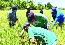 NegOcc ARBs get livelihood assistance