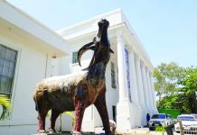 NegOcc artists pay homage to the country’s ‘beast of burden’