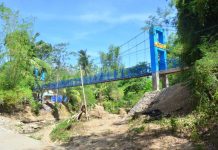 In Tigbauan brgys footbridges make travel less risky