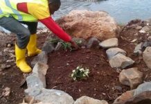 Dead twins found in Kenya