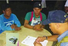 ‘Cannabis peddlers’ caught in Aklan