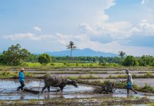 Martial law in CARP-covered Negros lands?