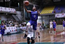 PBA D-League: Red Lions wallops Stallions