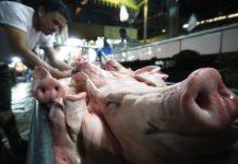 NegOcc board OKs measure institutionalizing pork ban