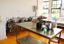 Capiz gets P1-M dairy processing facility