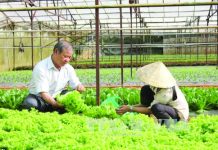NegOcc to adopt Taiwan’s agri-tech