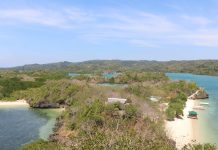 ‘Protected areas shall be DENR’s legacy in WV’