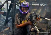 Photos of the Week