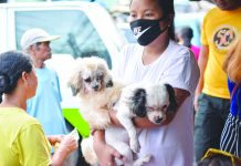 A woman carries her dogs while walking in La Paz Public Market, Iloilo City. Recently, the Department of Health in Western Visayas urged the public to become responsible pet owners by having their pets vaccinated. IAN PAUL CORDERO/PN