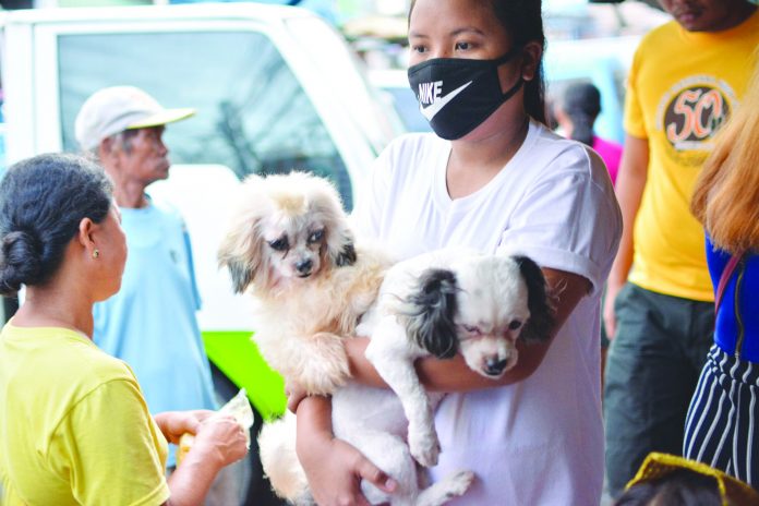 Dogs A woman carries her dogs while walking in La Paz Public Market, Iloilo City. Recently, the Department of Health in Western Visayas urged the public to become responsible pet owners by having their pets vaccinated. IAN PAUL CORDERO/PN