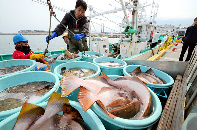 Fish Ban