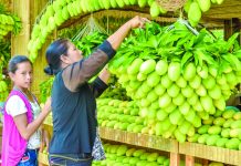 Guimaras drops Manggahan due to COVID-19