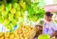 Guimaras declared grand champ in nat’l Best PESO tilt