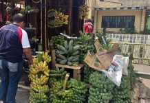 La Castellana to expand banana production