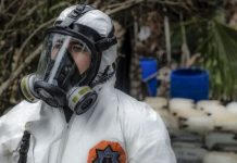 Mexico dismantles 3 synthetic drug labs
